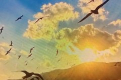 拉什福德30米奔袭助威，焦点对决中巴萨战术调整引热议